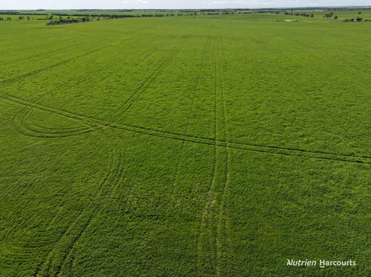 Fourth view of Homely rural property listing, 1630 Mindarabin Road, Mindarabin WA 6336