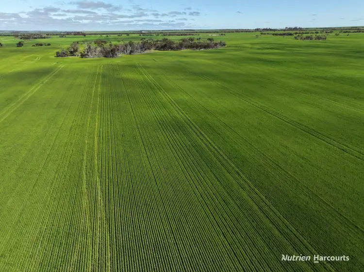 Sixth view of Homely rural property listing, 1630 Mindarabin Road, Mindarabin WA 6336
