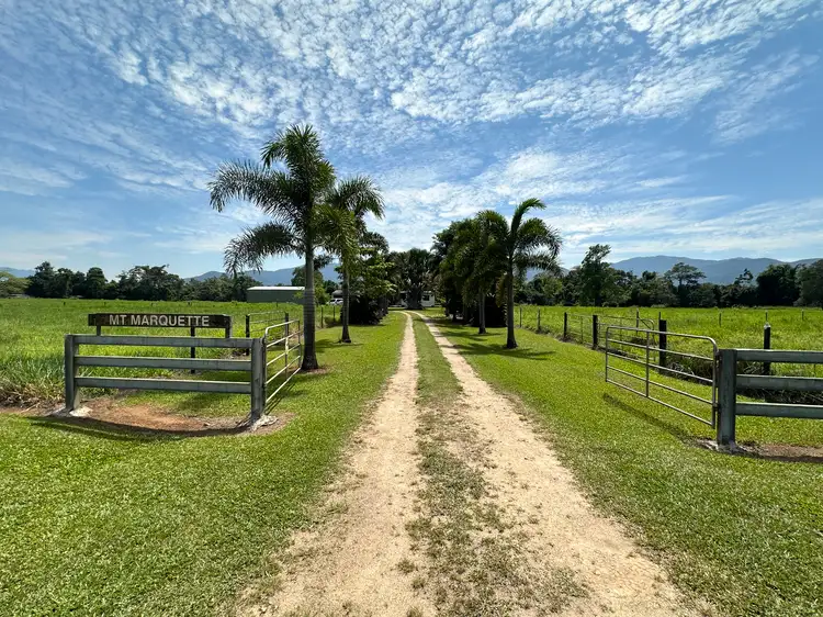 Main view of Homely rural property listing, 1256 Tully Gorge Road, Jarra Creek QLD 4854