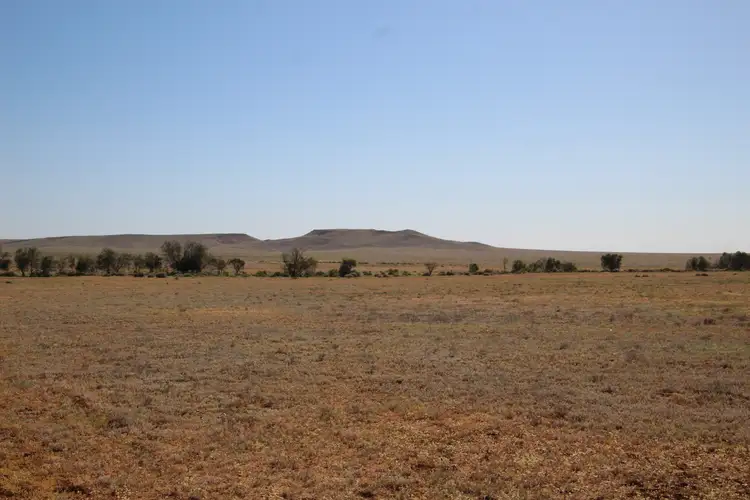 Third view of Homely rural property listing, 4781 Camerons Corner Road, Tibooburra NSW 2880