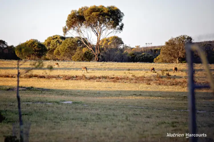 Fourth view of Homely rural property listing, 987 Carlingup Road, Ravensthorpe WA 6346