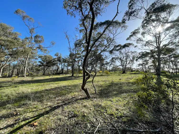 Third view of Homely land listing, Crown Allotment 13 McMahon Street, St Arnaud VIC 3478