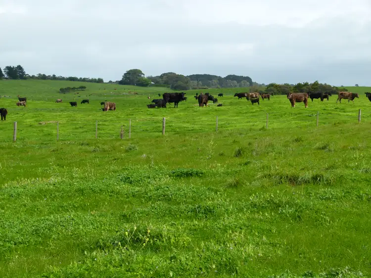Main view of Homely rural property listing, Address available on request