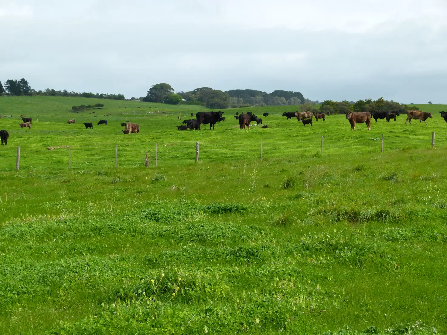 Main view of Homely rural property listing, Address available on request