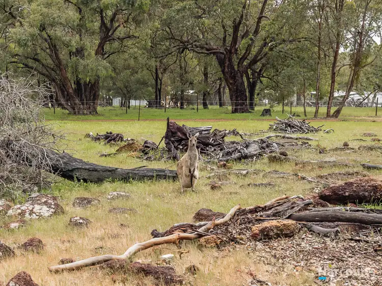 Main view of Homely land listing, 15 Studmaster View, Bullsbrook WA 6084