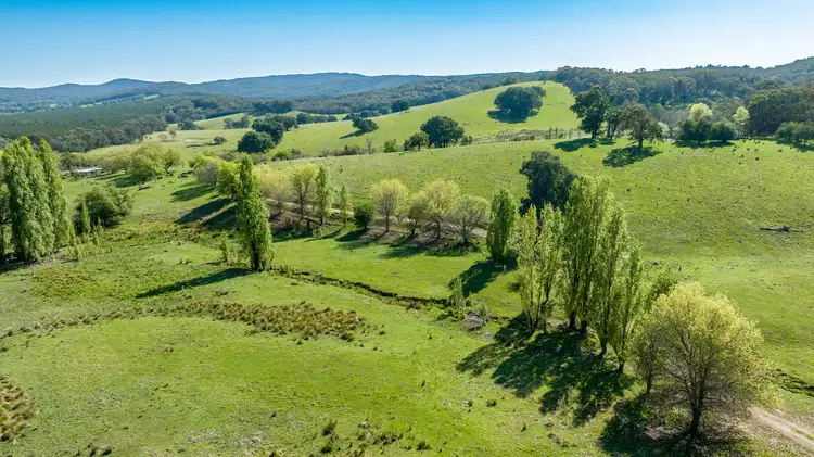 Fifth view of Homely rural property listing, 1596 Four Mile Lane, Little Billabong NSW 2644