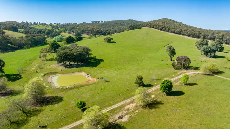 Sixth view of Homely rural property listing, 1596 Four Mile Lane, Little Billabong NSW 2644