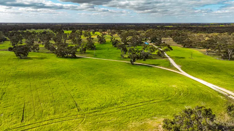 Main view of Homely rural property listing, 644 Golf Course Road, Bordertown SA 5268