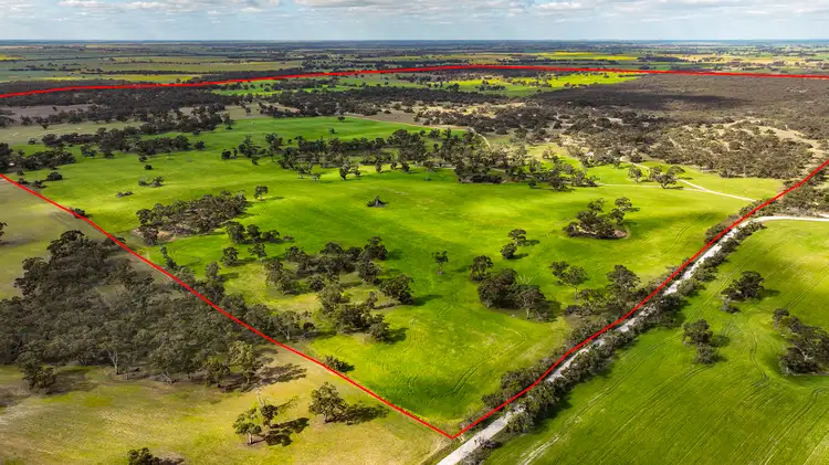 Second view of Homely rural property listing, 644 Golf Course Road, Bordertown SA 5268