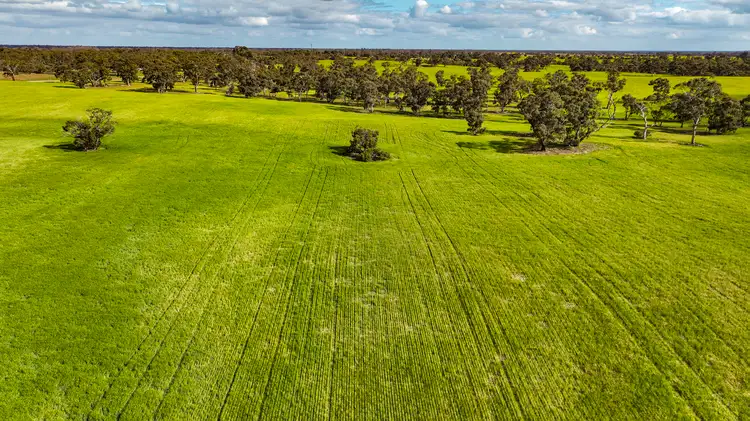 Third view of Homely rural property listing, 644 Golf Course Road, Bordertown SA 5268