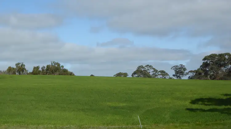 Fifth view of Homely rural property listing, 644 Golf Course Road, Bordertown SA 5268