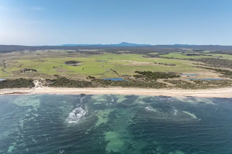 Third view of Homely rural property listing, 722 Beechford Road, Beechford TAS 7252