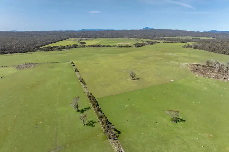 Fourth view of Homely rural property listing, 722 Beechford Road, Beechford TAS 7252