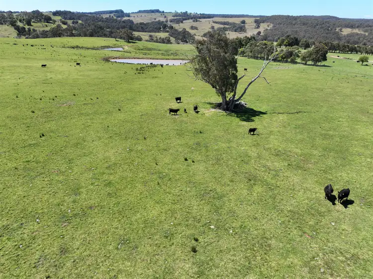 Fifth view of Homely rural property listing, 3264 Middle Arm Road Roslyn, Crookwell NSW 2583
