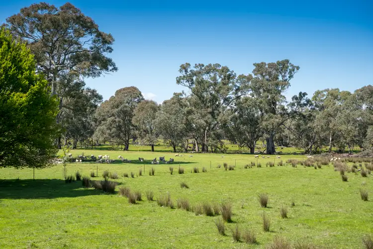Sixth view of Homely rural property listing, Part 2/1498 Mansfield Road, Swanpool VIC 3673