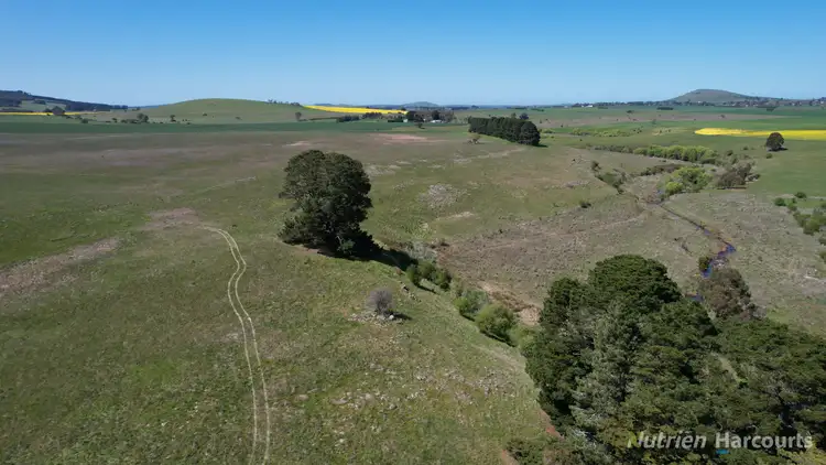 Sixth view of Homely rural property listing, 815 Daylesford-Clunes Road, Smeaton VIC 3364