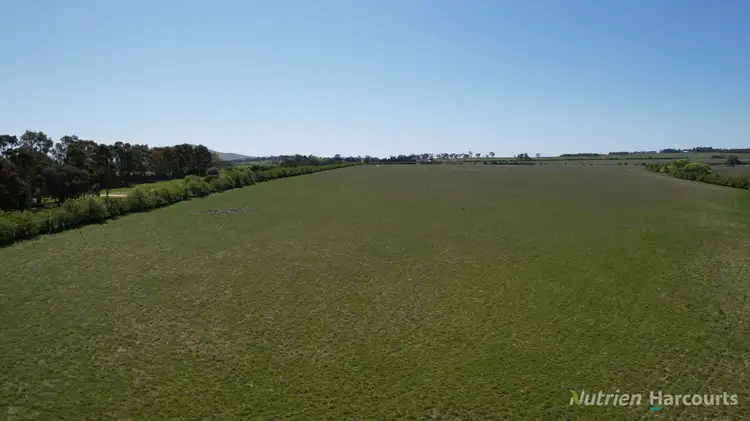 Seventh view of Homely rural property listing, 815 Daylesford-Clunes Road, Smeaton VIC 3364