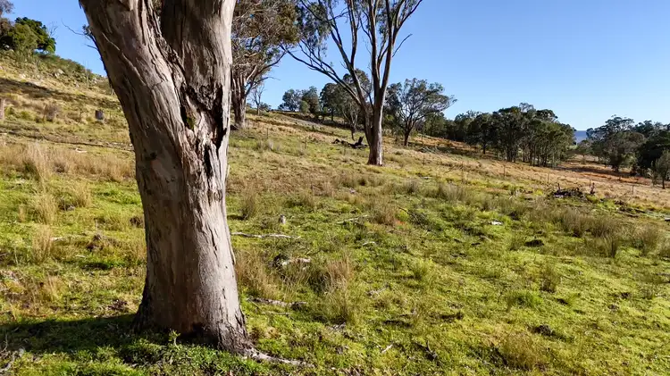 Sixth view of Homely land listing, 245A Sunnyside Loop Road, Tenterfield NSW 2372