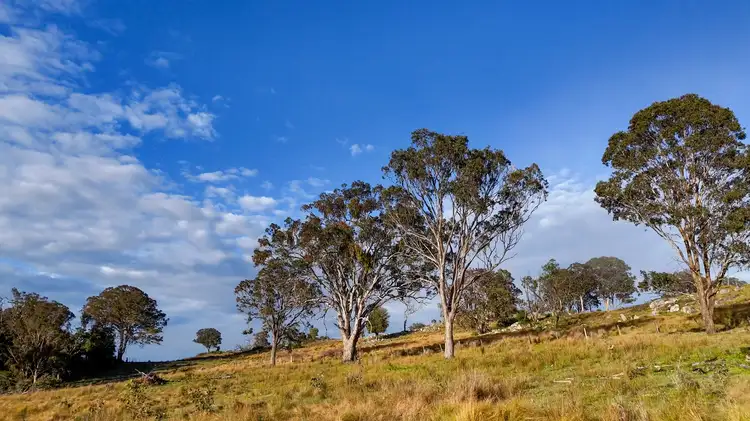 Seventh view of Homely land listing, 245A Sunnyside Loop Road, Tenterfield NSW 2372