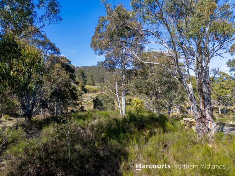 Fourth view of Homely land listing, 17 Baker Street, Rossarden TAS 7213