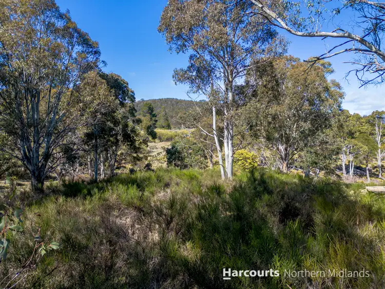 Fifth view of Homely land listing, 17 Baker Street, Rossarden TAS 7213