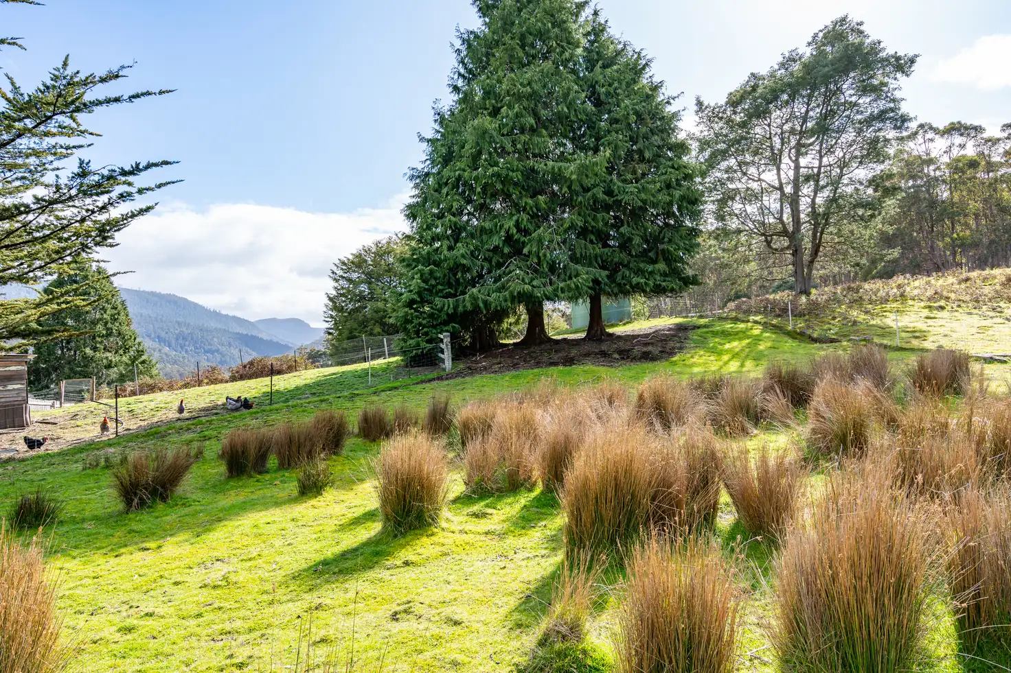 Main view of Homely land listing, LOT 2, 310 Judds Creek Road, Judbury TAS 7109