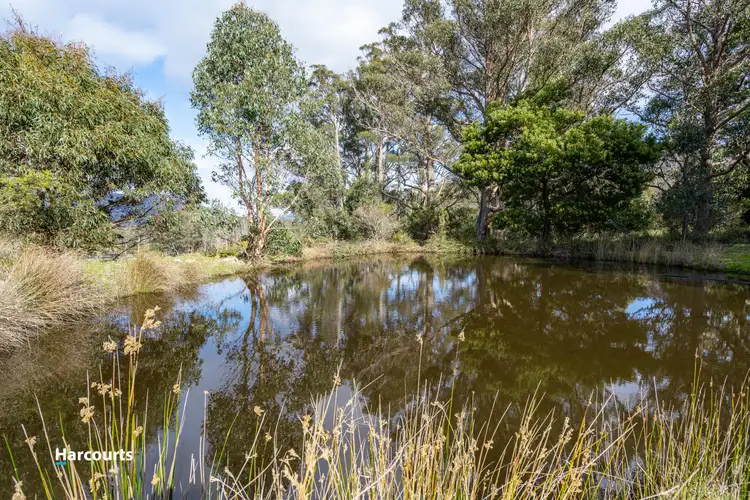 Fifth view of Homely land listing, LOT 2, 310 Judds Creek Road, Judbury TAS 7109