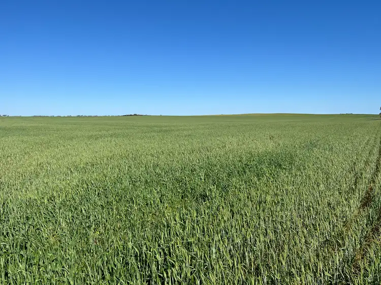 Main view of Homely rural property listing, 900 Parker Rd, Pinery SA 5460