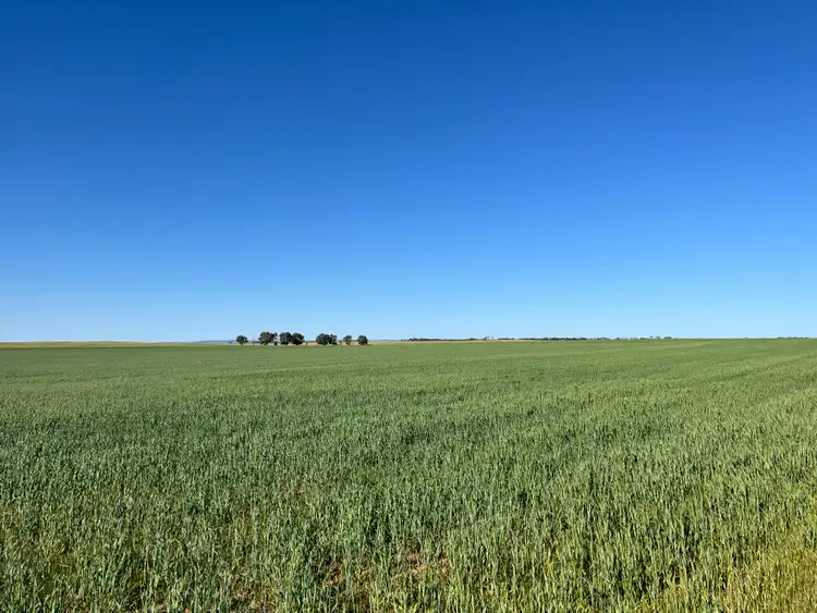 Sixth view of Homely rural property listing, 900 Parker Rd, Pinery SA 5460