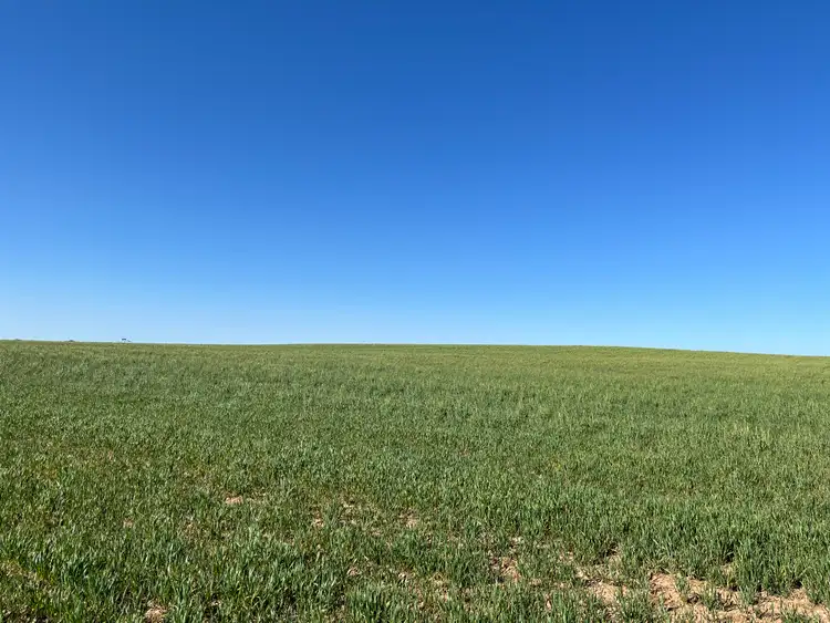 Seventh view of Homely rural property listing, 900 Parker Rd, Pinery SA 5460