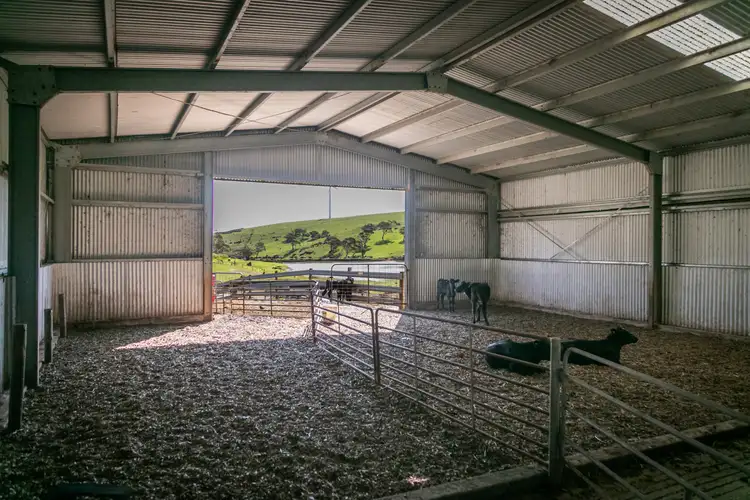 Sixth view of Homely land listing, 115A Bennett Road, Cape Jervis SA 5204