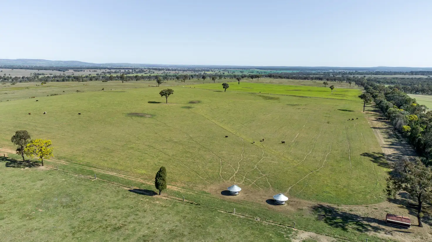 Main view of Homely rural property listing, 'Bullarook' 188 Bullarook Rd, Coolah NSW 2843