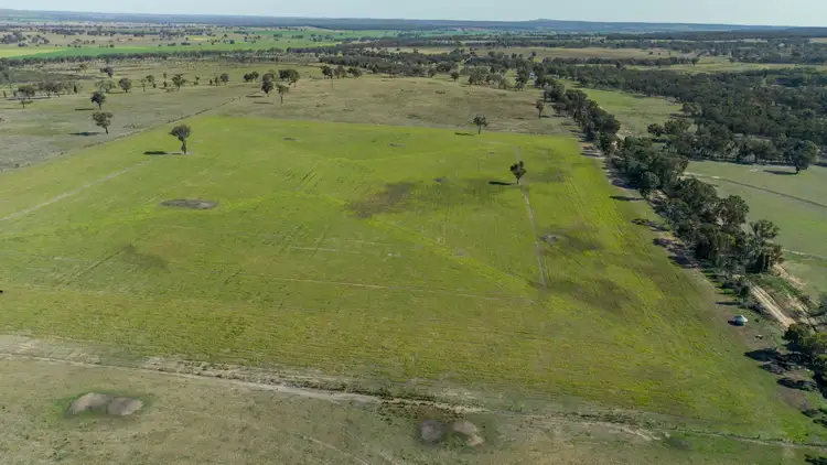 Fourth view of Homely rural property listing, 'Bullarook' 188 Bullarook Rd, Coolah NSW 2843