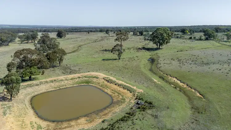 Fifth view of Homely rural property listing, 'Bullarook' 188 Bullarook Rd, Coolah NSW 2843
