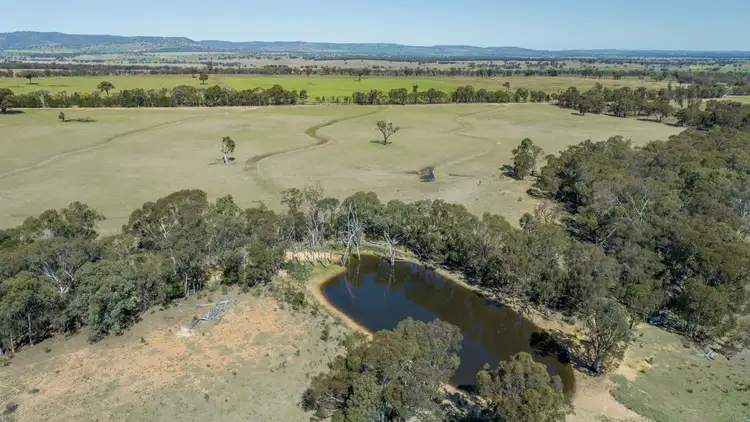 Sixth view of Homely rural property listing, 'Bullarook' 188 Bullarook Rd, Coolah NSW 2843