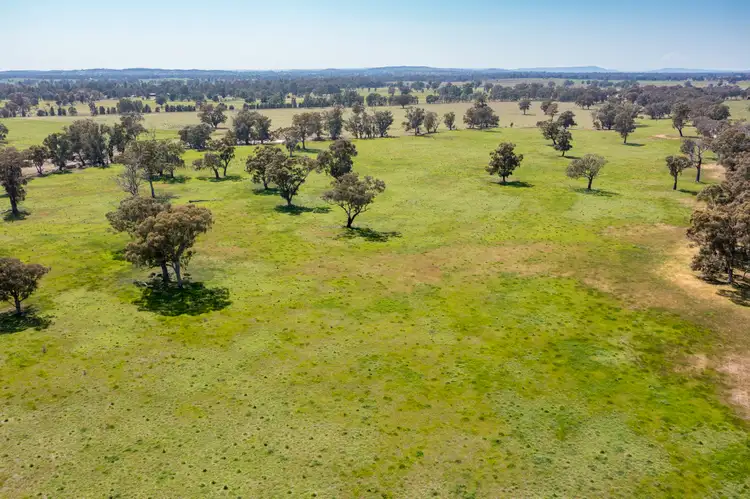 Fifth view of Homely rural property listing, 144 Hanlon Road, Goomalibee VIC 3673