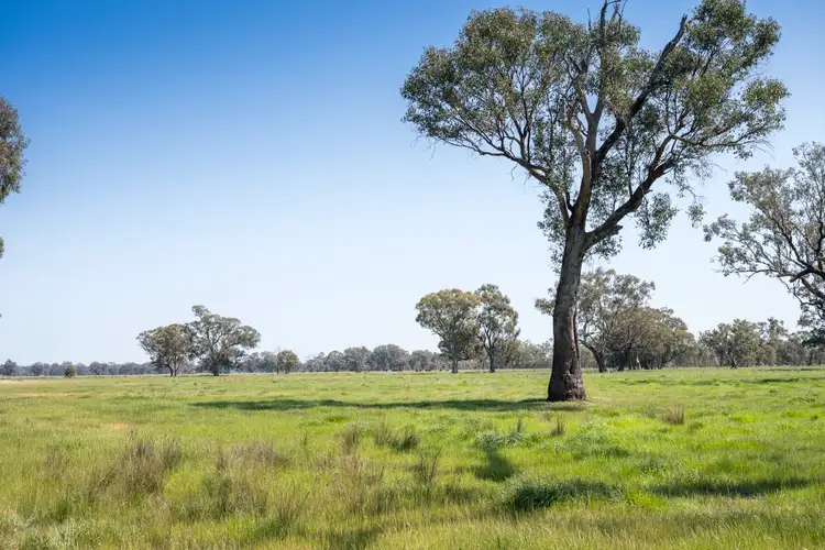 Sixth view of Homely rural property listing, 144 Hanlon Road, Goomalibee VIC 3673