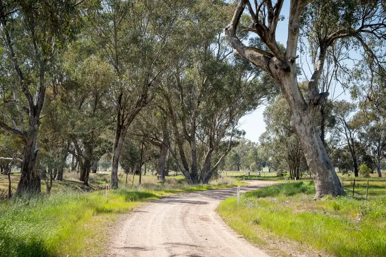 Seventh view of Homely rural property listing, 144 Hanlon Road, Goomalibee VIC 3673
