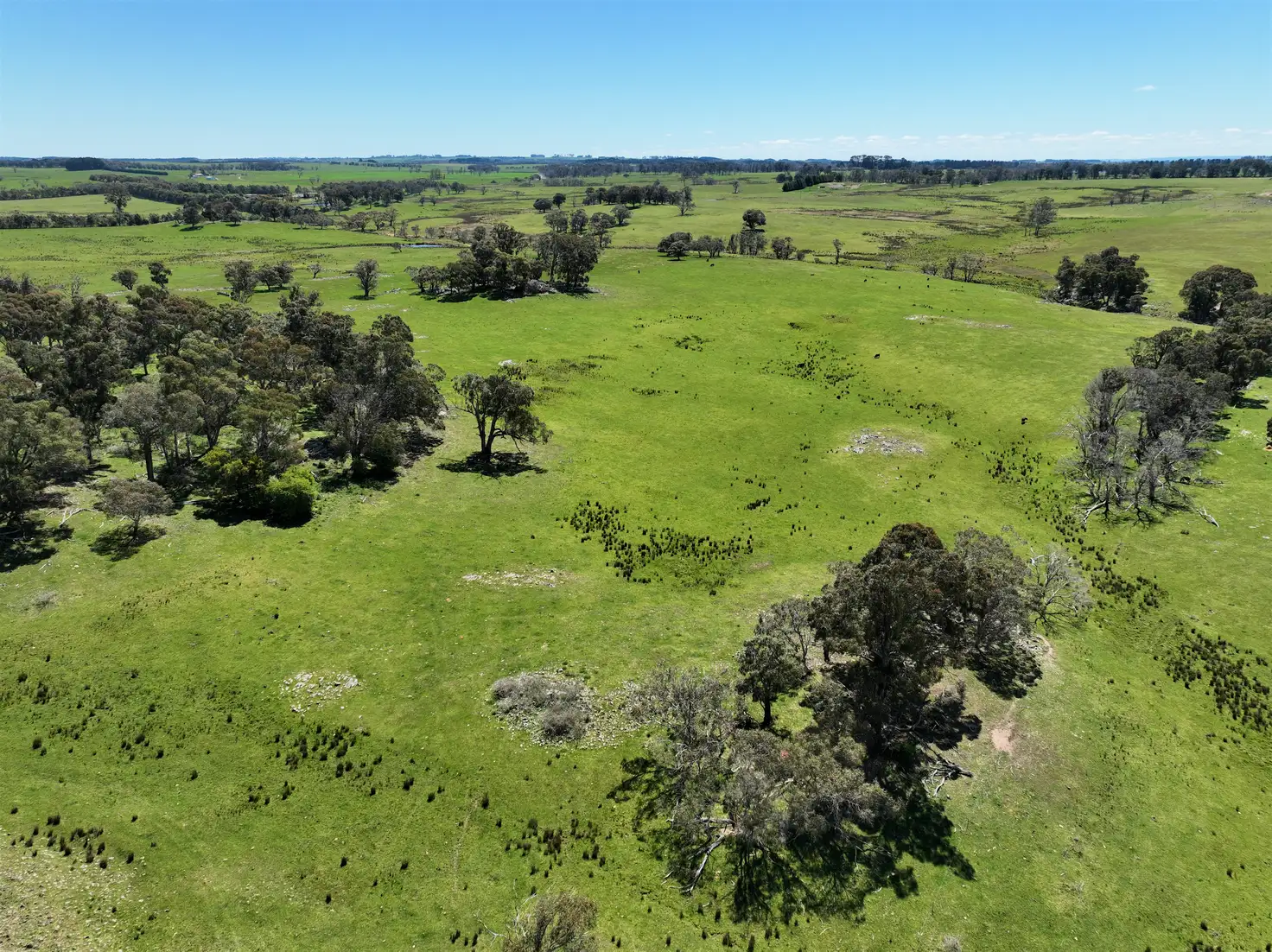 Main view of Homely rural property listing, Lots 171, 248, 313, 316, Carrabungla Road, Roslyn, Crookwell NSW 2583