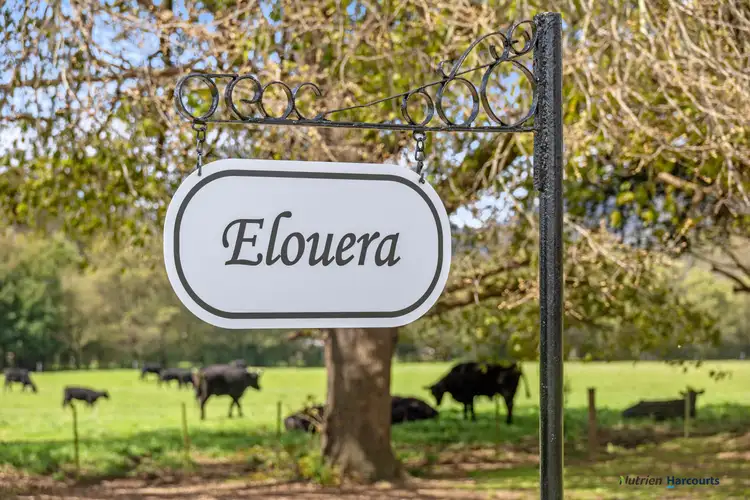 Second view of Homely rural property listing, 696 Back Eildon Road, Thornton VIC 3712