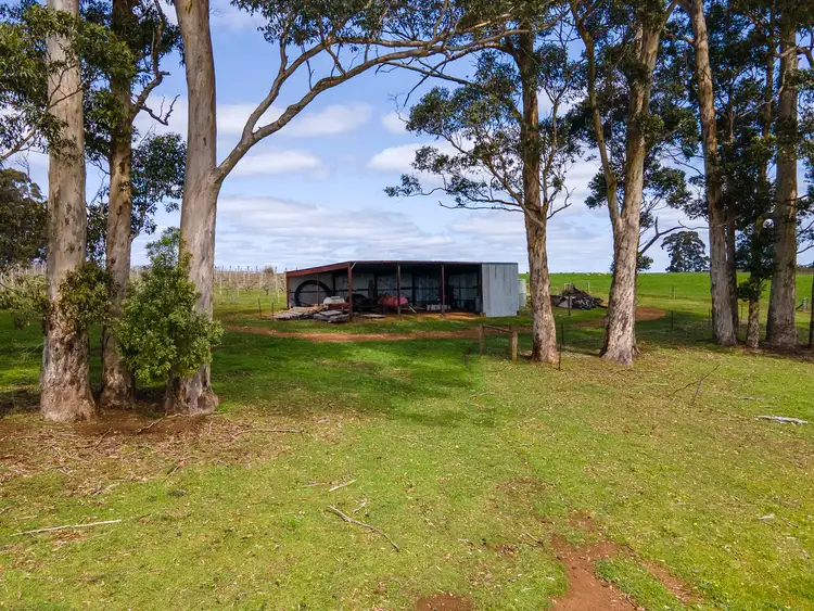 Seventh view of Homely rural property listing, 90 Black Georges Road (Manjimup), Middlesex WA 6258