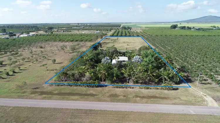 Main view of Homely house listing, 31 Mango Avenue, Horseshoe Lagoon QLD 4809