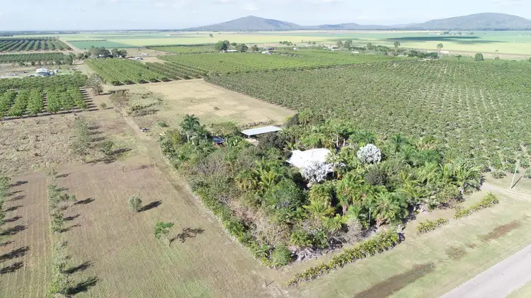 Second view of Homely house listing, 31 Mango Avenue, Horseshoe Lagoon QLD 4809