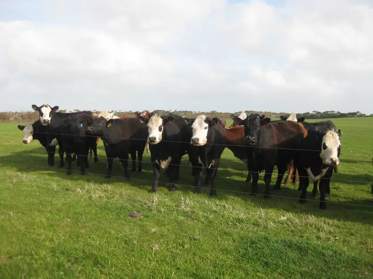 Sixth view of Homely rural property listing, Lot 2, 357 Don Kendell Drive, Loorana TAS 7256