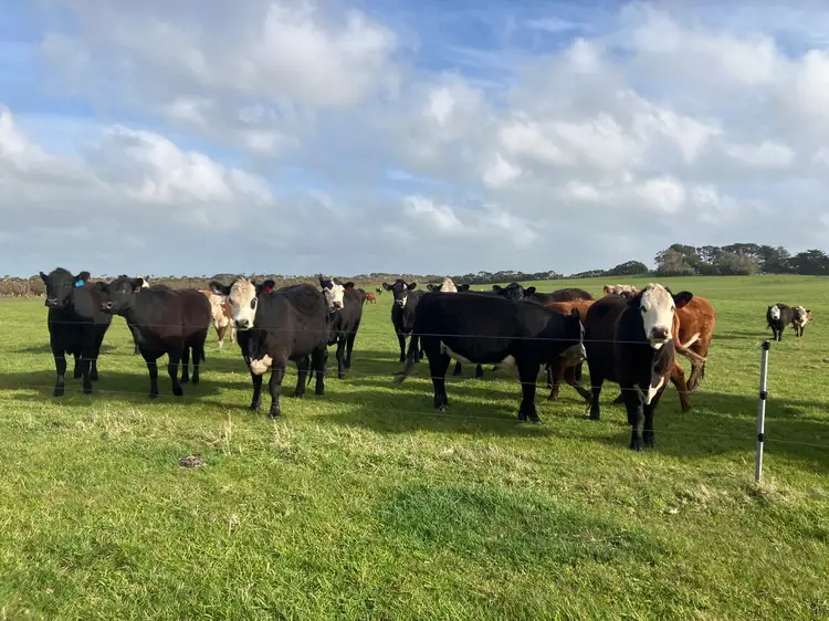 Seventh view of Homely rural property listing, Lot 2, 357 Don Kendell Drive, Loorana TAS 7256