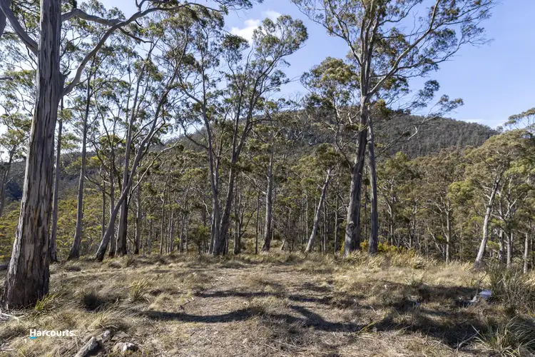 Third view of Homely land listing, LOT 1&2, Cliffords Road, Deep Bay TAS 7112
