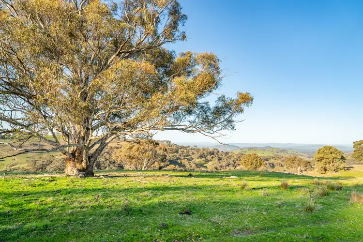 Third view of Homely rural property listing, 0 Bortolot Road, Huon Creek VIC 3691