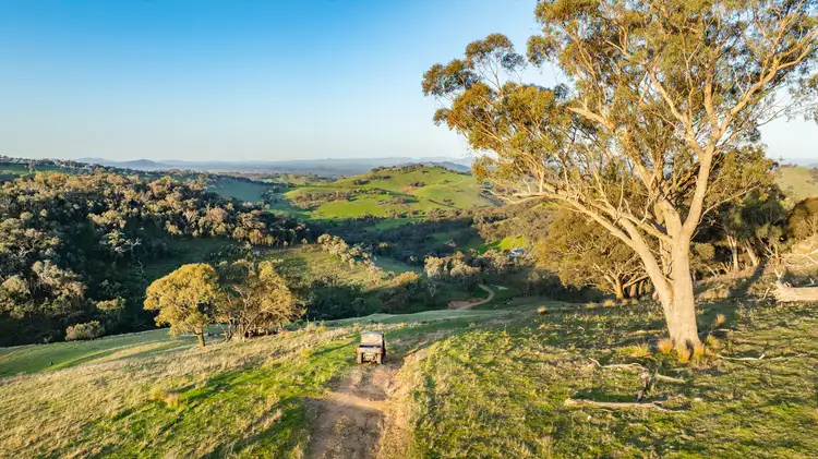 Sixth view of Homely rural property listing, 0 Bortolot Road, Huon Creek VIC 3691