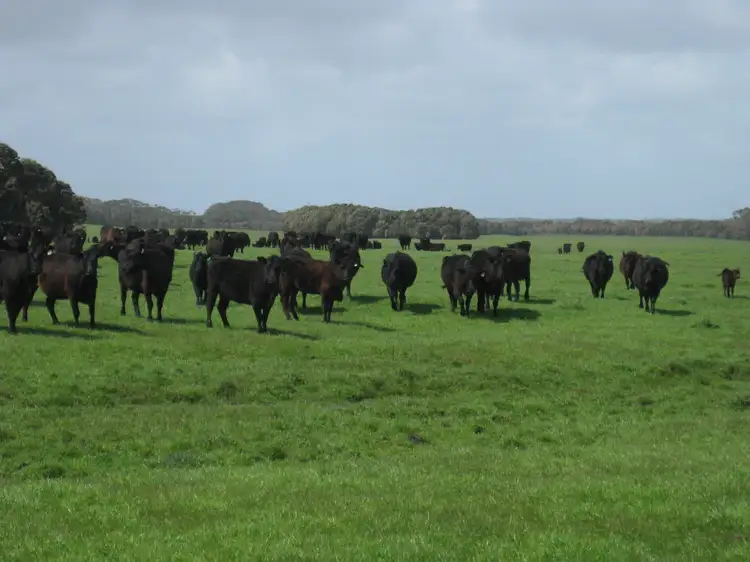 Fourth view of Homely rural property listing, . Tin Mine Road, Loorana TAS 7256