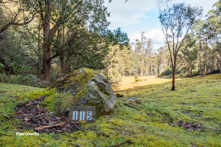 115 Clarks Road, Lower Longley TAS 7109